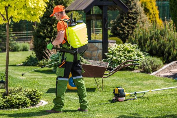 Best Lawn Pest Control  in Carrizozo, NM